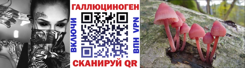 Купить закладки  Рудня  Галлюциногенные грибы Psilocybe 